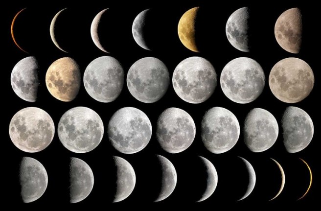 moon shapes