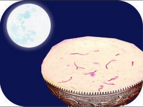 sssssharad purnima 2