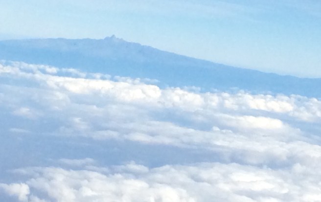 22E95A7C-BAD5-4D3D-B822-F0DB96518C9B