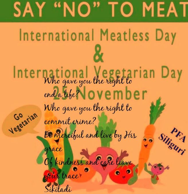 Meatless day 2