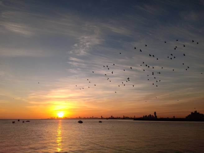 6F3CDA60-C23A-4870-B5B9-5B1F0AB35927