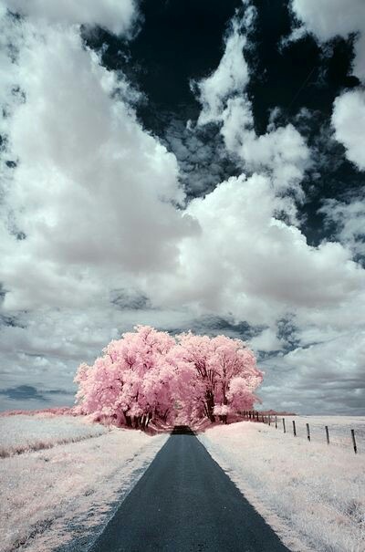 781C185E-D65A-4BF9-8372-B751227F3226